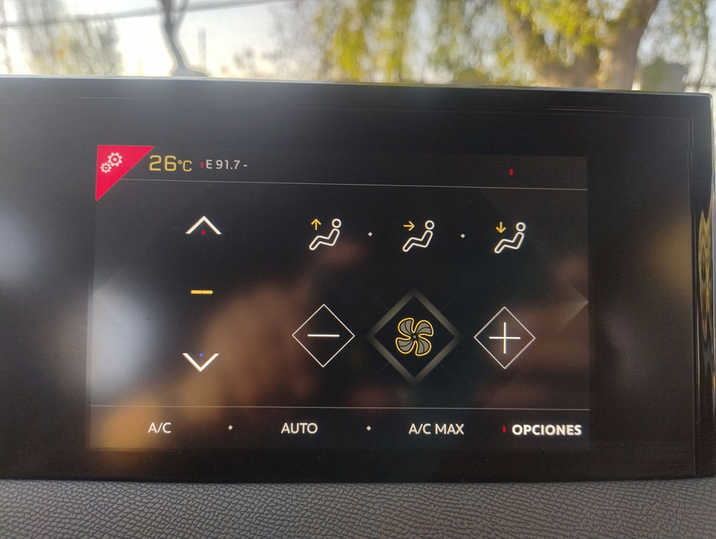 DS | DS3 |  AÑO 2020